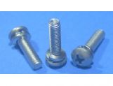 SEMS Screw -- SW